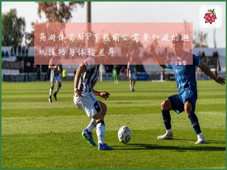 易游体育APP下载前你需要知道的避坑技巧与体验差异